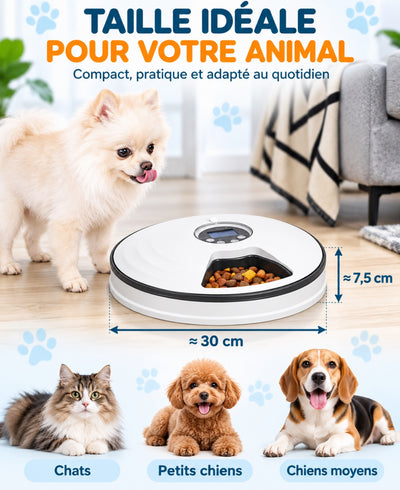 Distributeur de nourriture pour animaux de compagnies , sans fil , à minuterie jusqu'à 6 repas