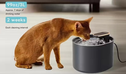 fontaine à eau pour animaux de compagnie