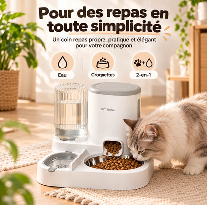 Combo distributeur de nourriture et d'eau pour chat, distributeur automatique pour animaux de compagnie, ensemble de bols détachables en acier inoxydable, récipient à nourriture pour chien facile à nettoyer
