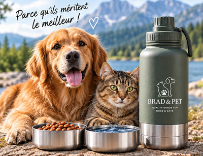 Gourde isotherme pour chien avec bol intégré-promenade voyage , anti-fuite