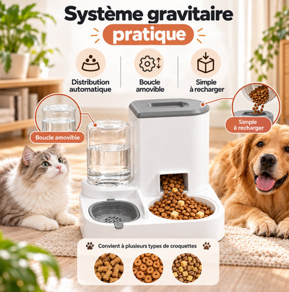 Combo distributeur de nourriture et d'eau pour chat, distributeur automatique pour animaux de compagnie, ensemble de bols détachables en acier inoxydable, récipient à nourriture pour chien facile à nettoyer