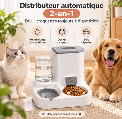 Combo distributeur de nourriture et d'eau pour chat, distributeur automatique pour animaux de compagnie, ensemble de bols détachables en acier inoxydable, récipient à nourriture pour chien facile à nettoyer