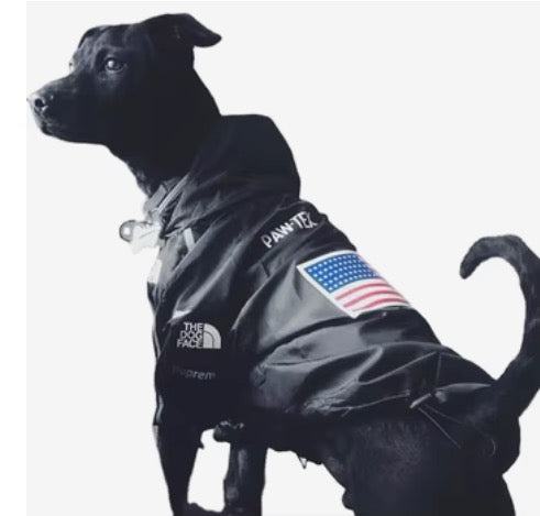 K-WAY stylé ,manteau imperméable ,coupe vent , vêtement pour chiens pluie.