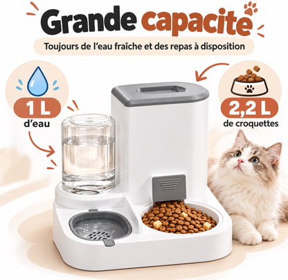 Combo distributeur de nourriture et d'eau pour chat, distributeur automatique pour animaux de compagnie, ensemble de bols détachables en acier inoxydable, récipient à nourriture pour chien facile à nettoyer