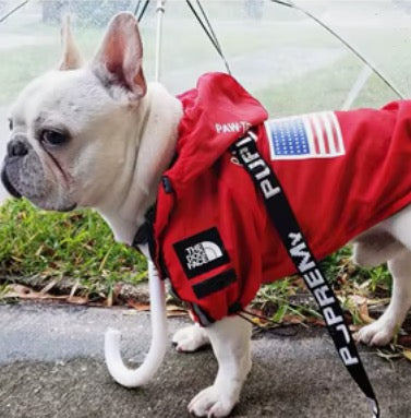 K-WAY stylé ,manteau imperméable ,coupe vent , vêtement pour chiens pluie.