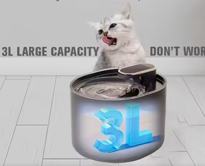 fontaine à eau pour animaux de compagnie