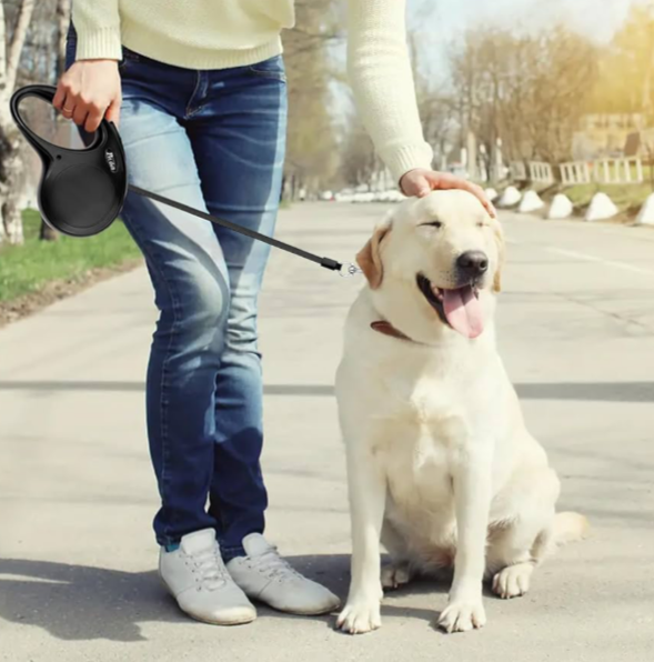 Laisse Enrouleur Rétractable 5m pour Petits et Moyens Chiens, Chats et Animaux de Compagnie Jusqu'à 20 Kg