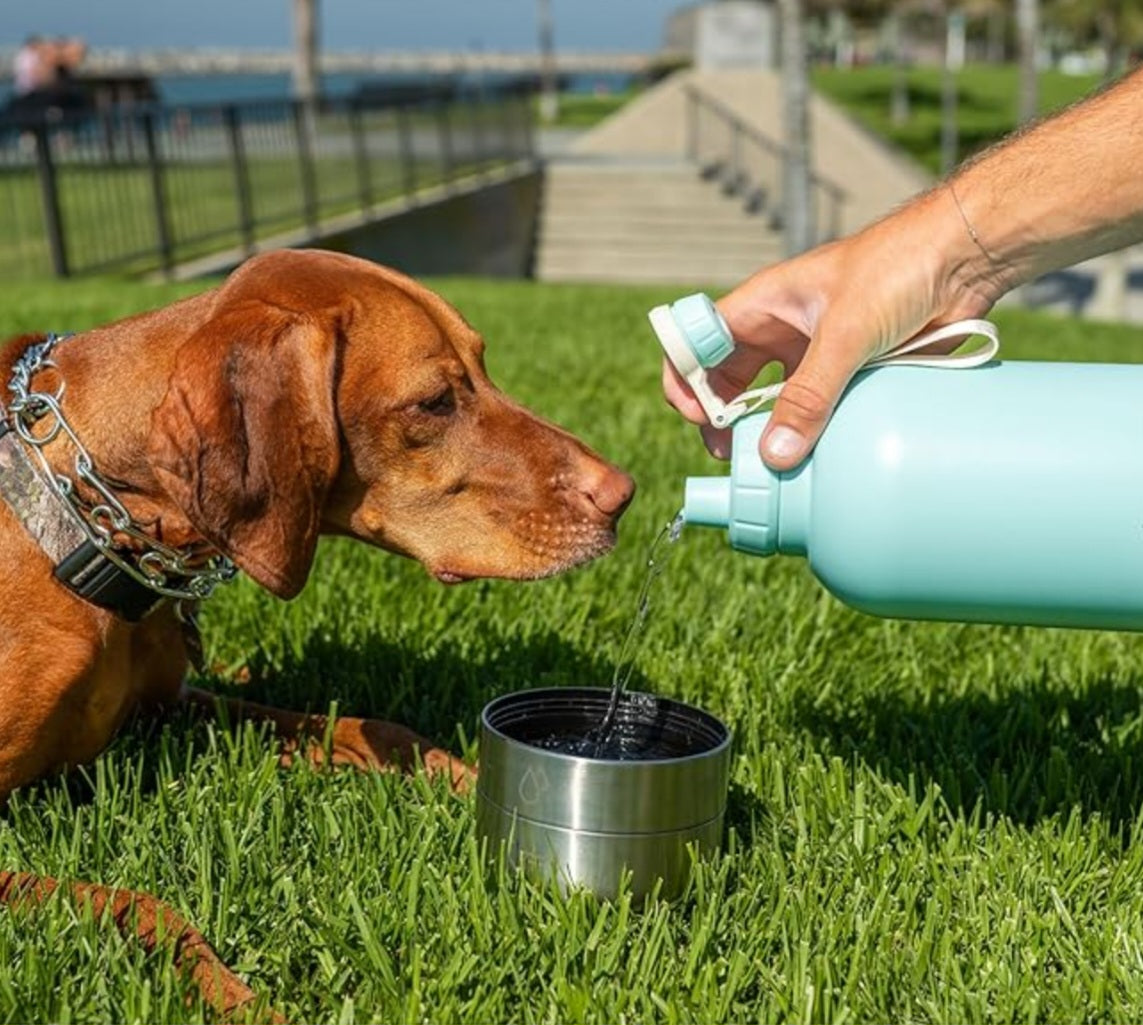 Gourde pour chien - B&P