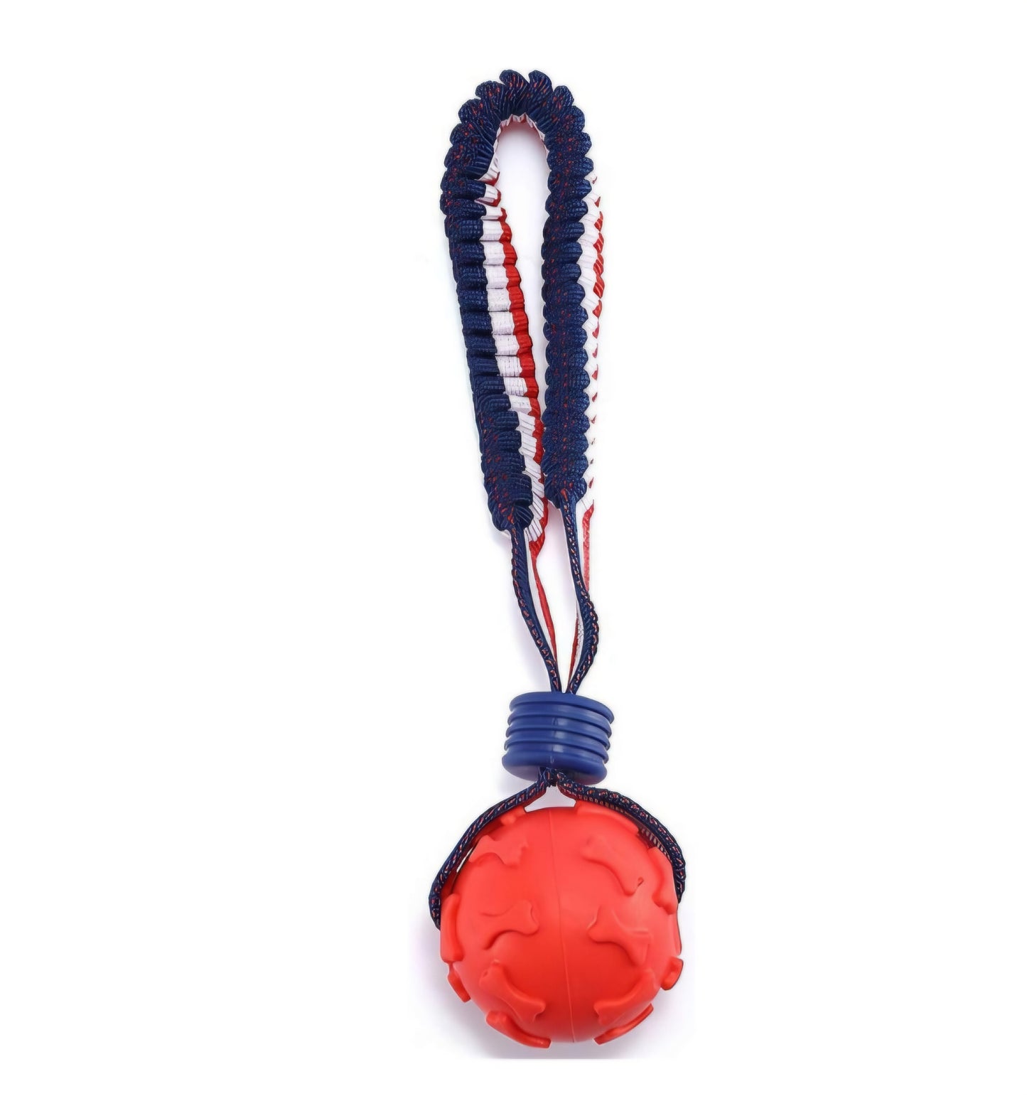 Balle sur corde élastique pour chiens et chats