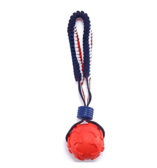 Balle sur corde élastique pour chiens et chats