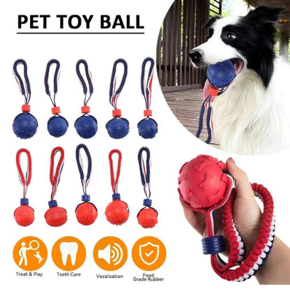 Balle sur corde élastique pour chiens et chats