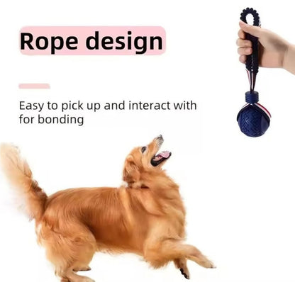 Balle sur corde élastique pour chiens et chats