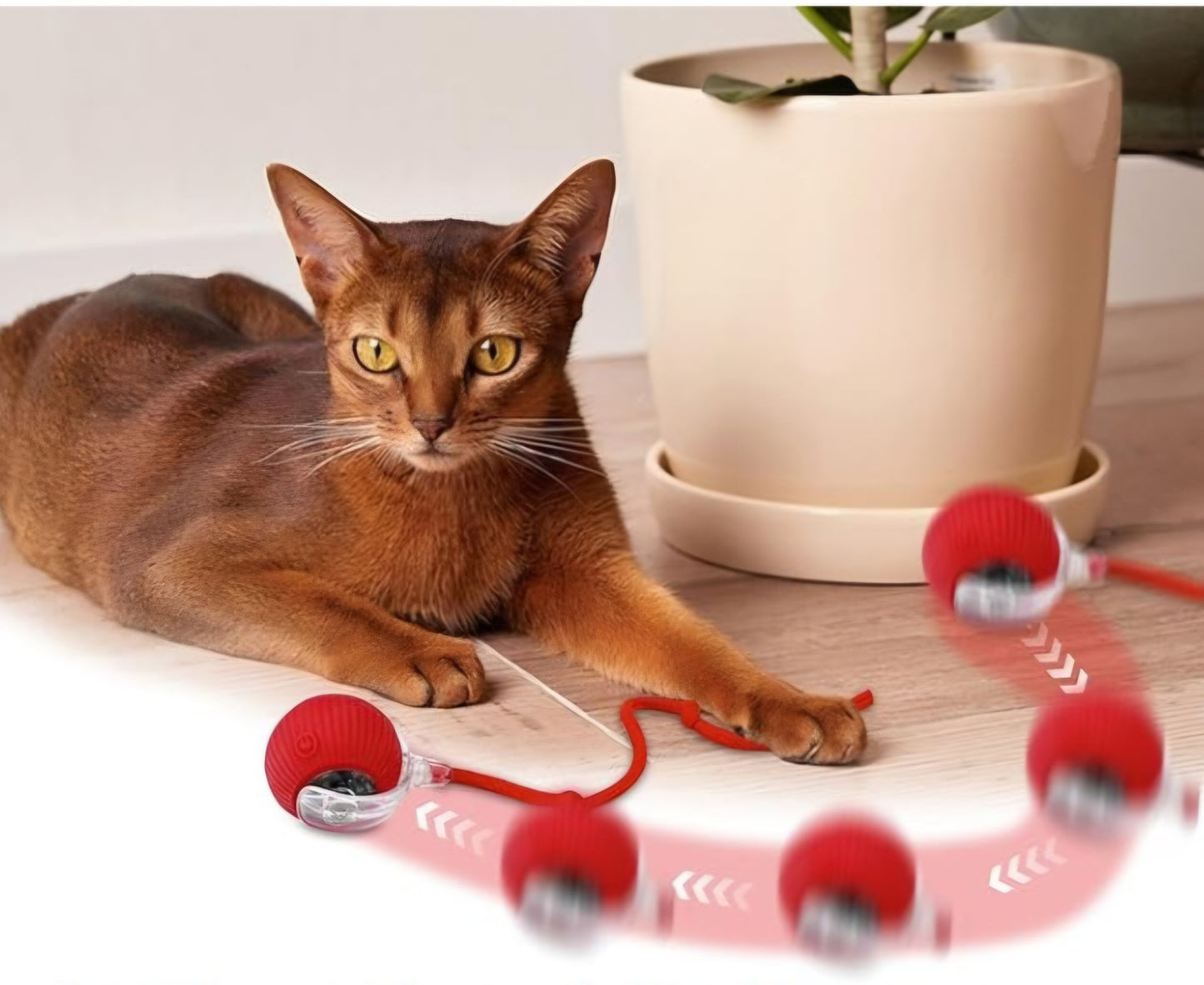 Balle virale inteligente interactive à rouler pour chats et chiens,
