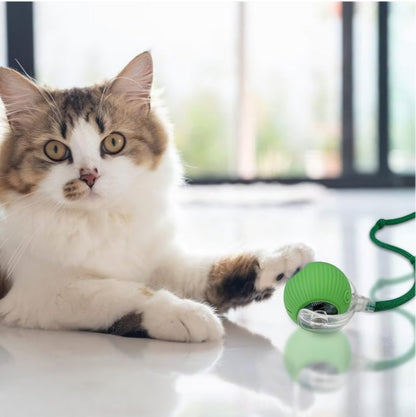 Balle virale inteligente interactive à rouler pour chats et chiens,
