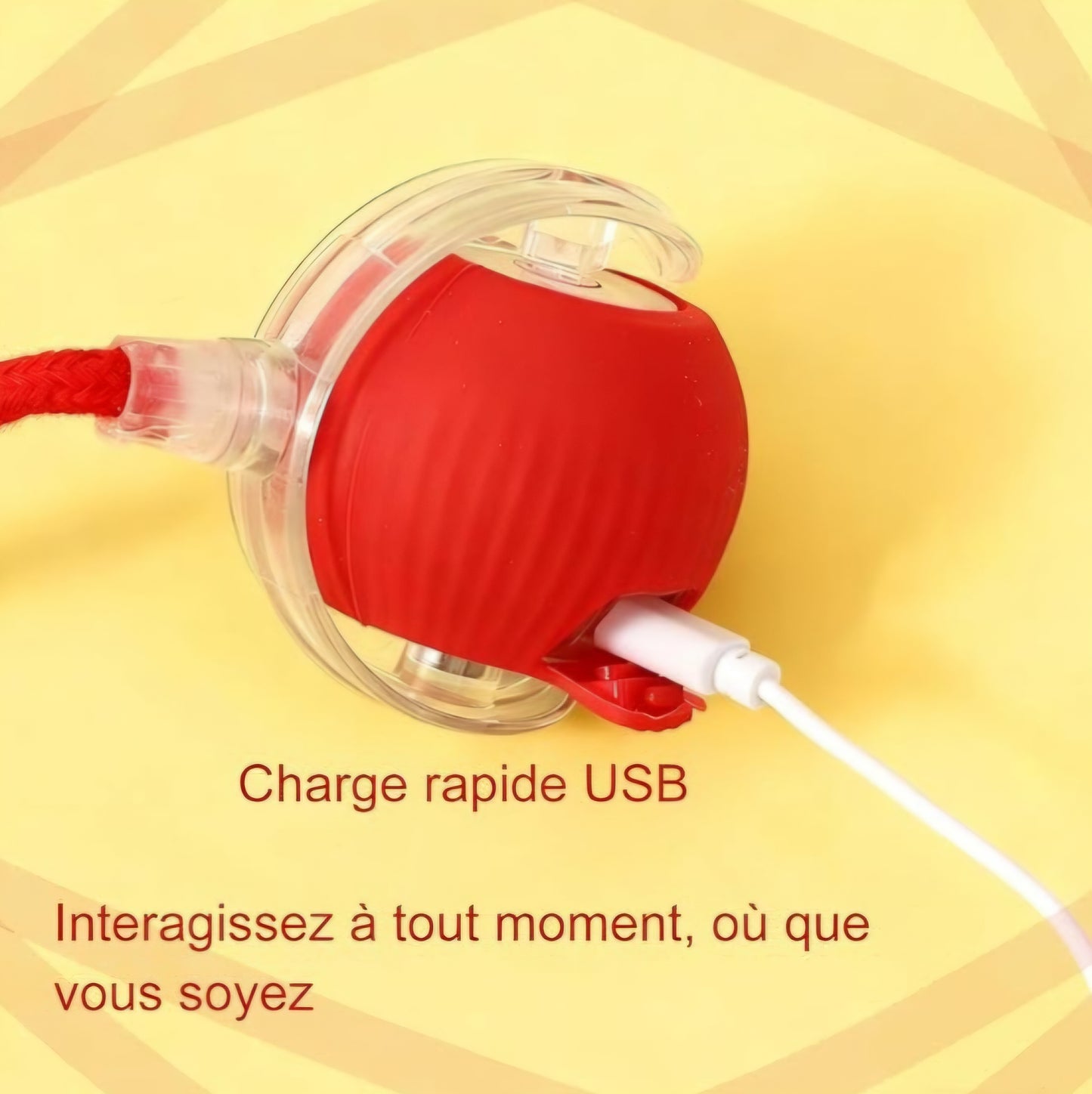 Balle virale inteligente interactive à rouler pour chats et chiens,