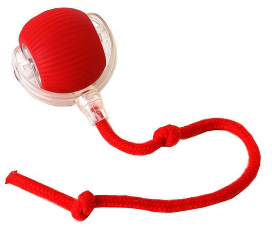 Balle virale inteligente interactive à rouler pour chats et chiens,