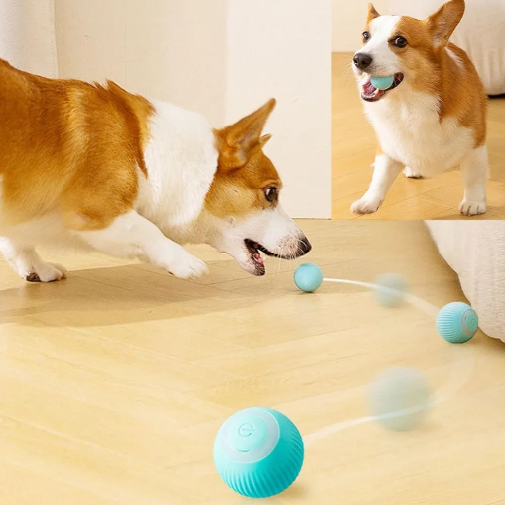 Balle interactive LED 360° - Le jouet intelligent et amusant pour chats et chien