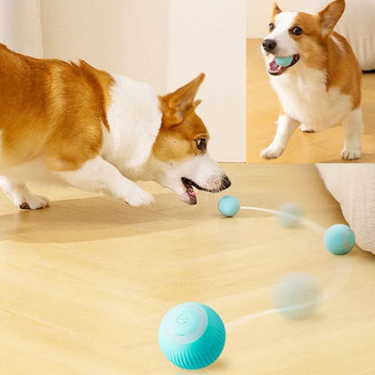 Balle interactive LED 360° - Le jouet intelligent et amusant pour chats et chien