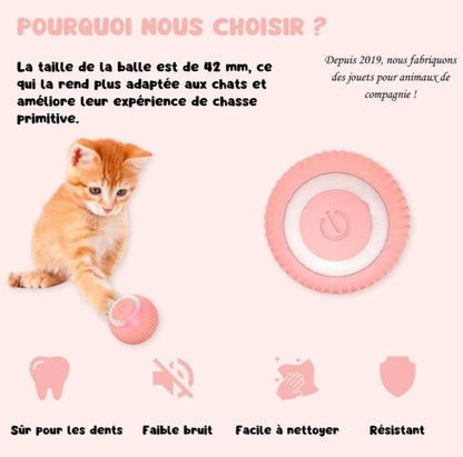 Balle interactive LED 360° - Le jouet intelligent et amusant pour chats et chien