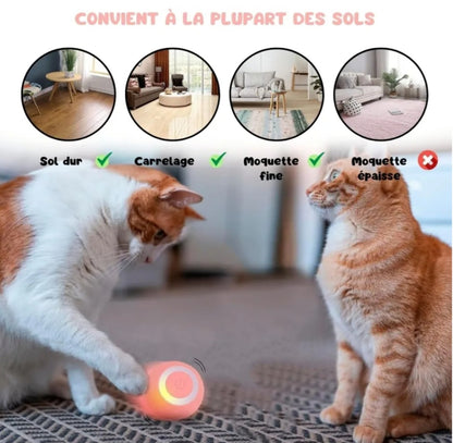 Balle interactive LED 360° - Le jouet intelligent et amusant pour chats et chien